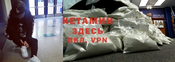 сатива Новодвинск