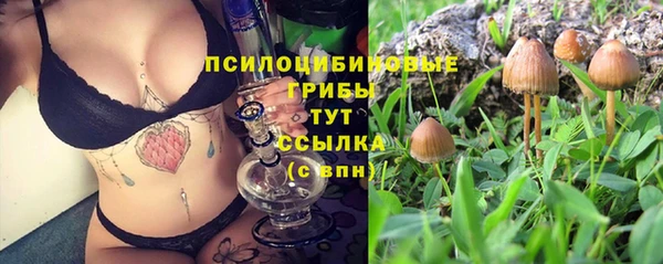 кристаллы Алексеевка