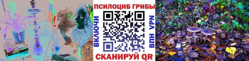 Псилоцибиновые грибы GOLDEN TEACHER  Бодайбо 